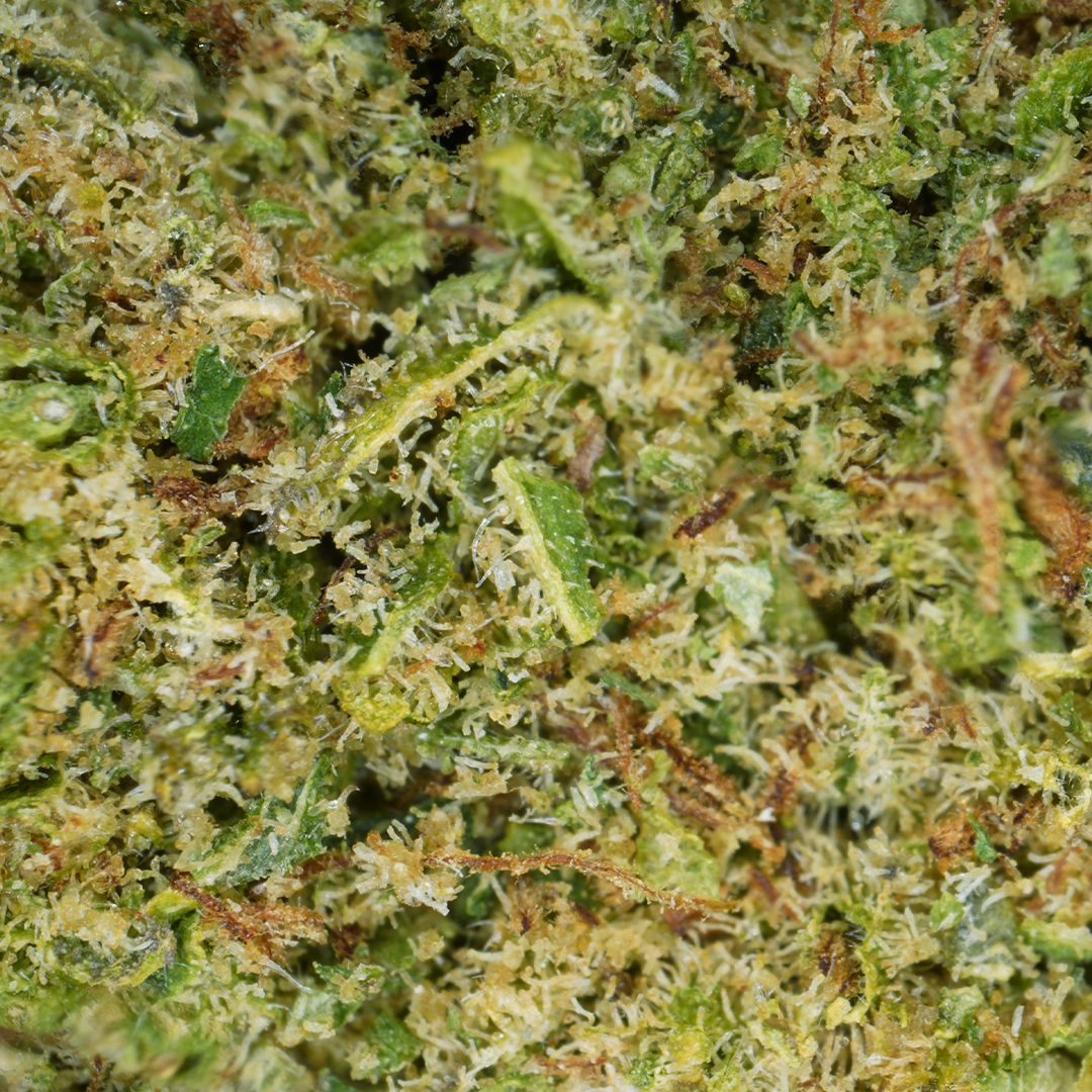 Alien Kush CBD (Hydroponics) (2) – Mama Kana