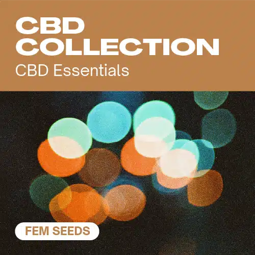 CBD Collection – Blimburn Seeds