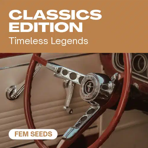Classics Edition – Blimburn Seeds