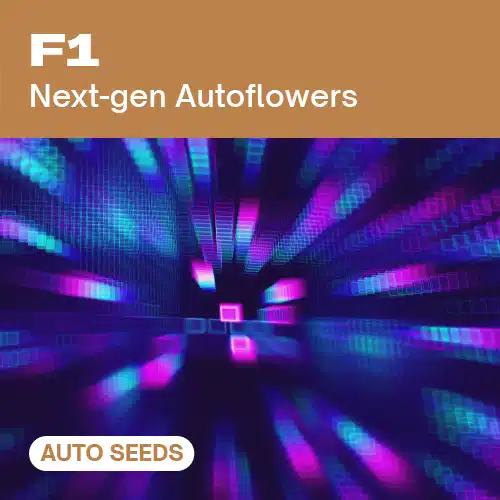 F1 AUTO – Blimburn Seeds