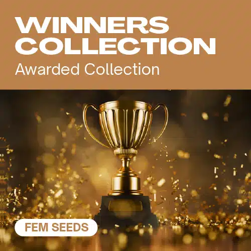 Winners Collection – Blimburn Seeds