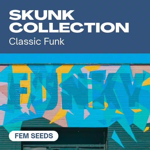 Skunk Collection – Blimburn Seeds