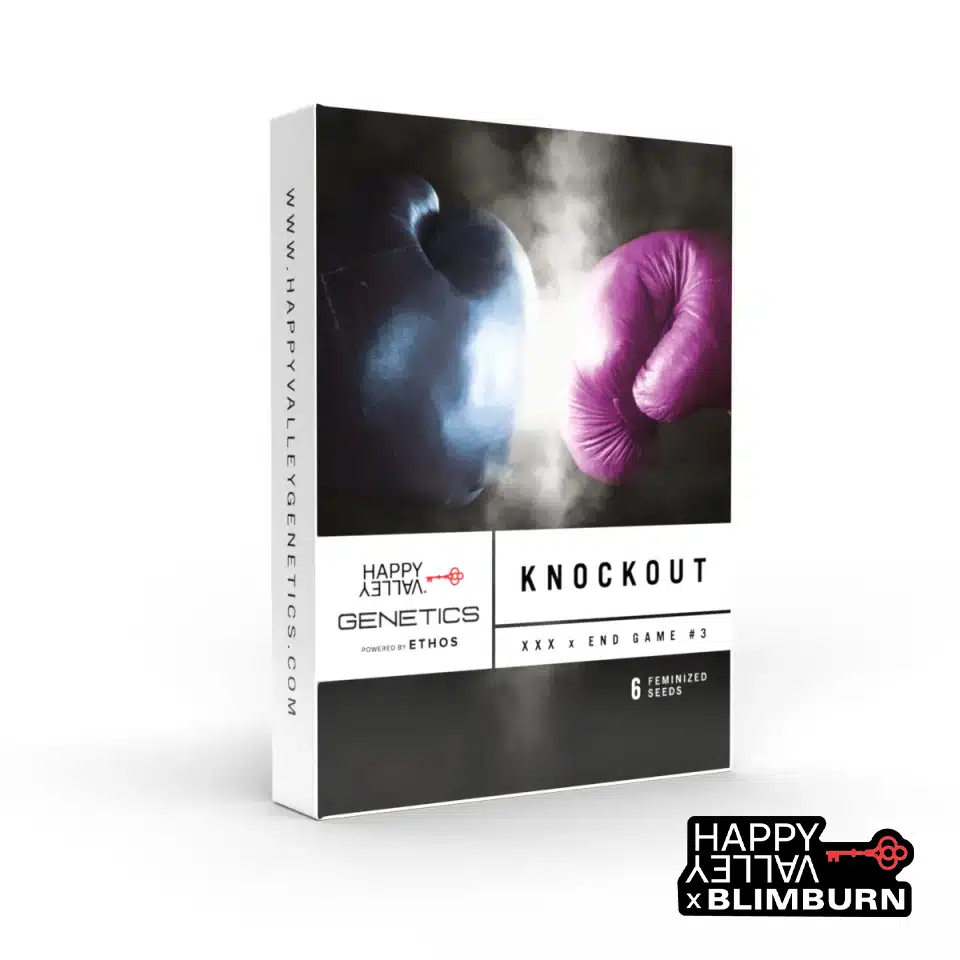 Knockout – Blimburn Seeds