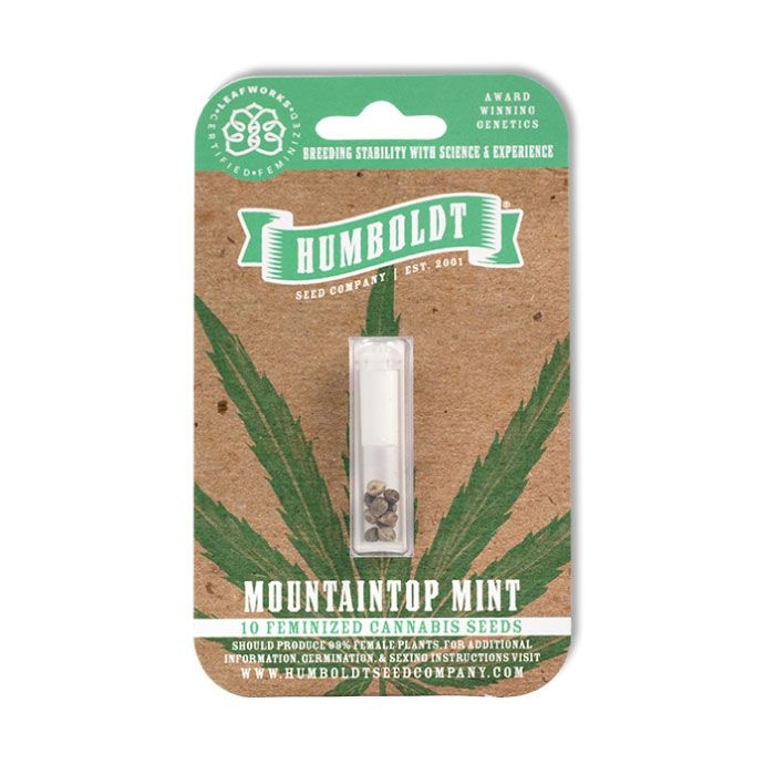 Mountaintop Mint – Cannoptikum