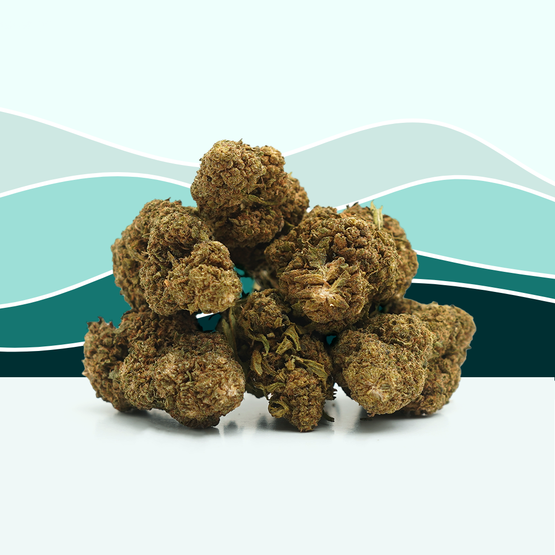 OG Kush CBD (Greenhouse) – Mama Kana