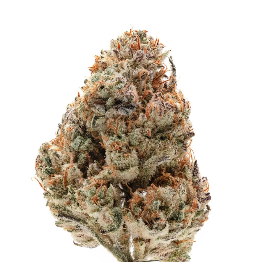 Octane Fire OG – Cannoptikum