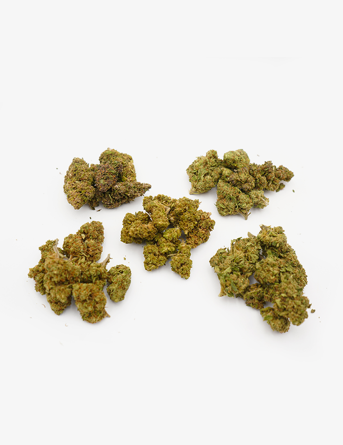CBD Flower Discovery Pack – High Society