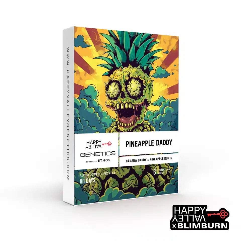 Pineapple Daddy Auto – Blimburn Seeds