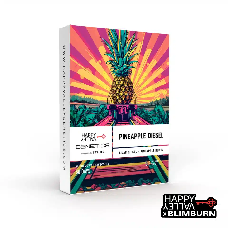 Pineapple Diesel Auto – Blimburn Seeds