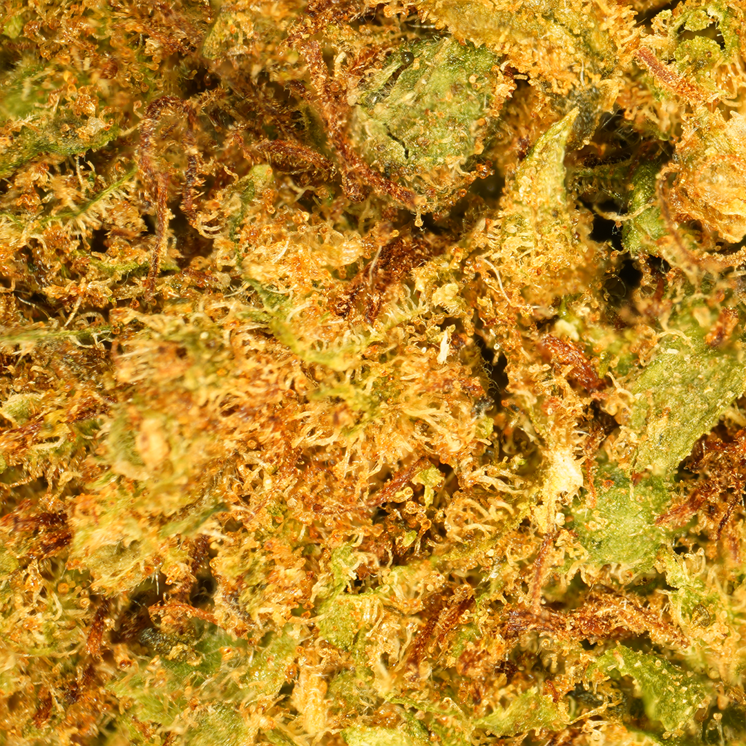 OG Kush CBD Small Buds (2) – Mama Kana