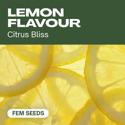 Lemon Flavour – Blimburn Seeds