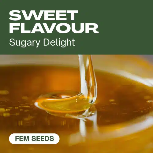 Sweet Flavour – Blimburn Seeds
