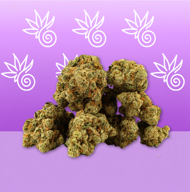Amnesia CBD (Hydroponic) – Mama Kana