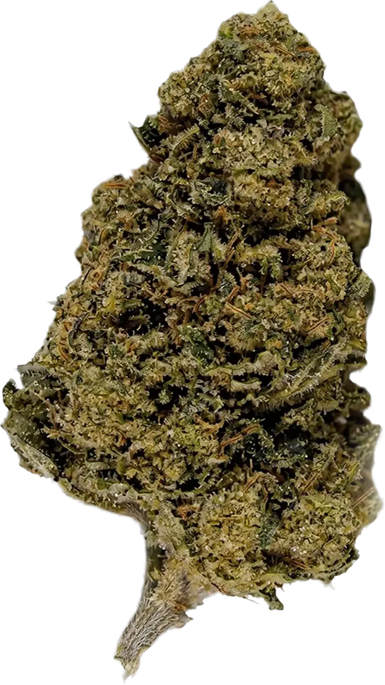 Amnesia CBD flower