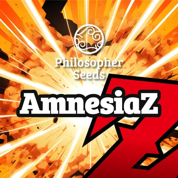 AmnesiaZ Feminized – Alchimia Grow Shop