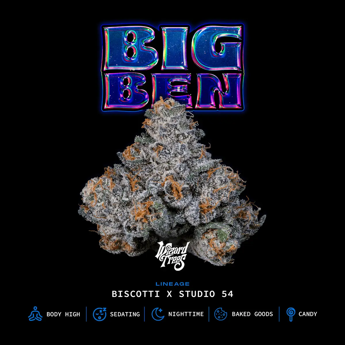 Big Ben Feminized – Alchimia Grow Shop