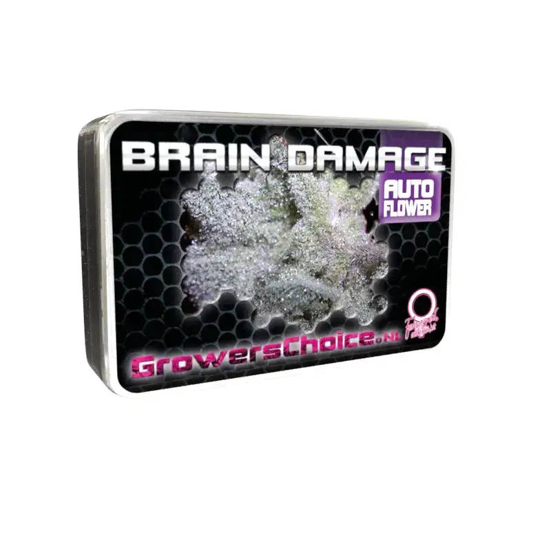 Braindamage Auto Autoflower – Alchimia Grow Shop