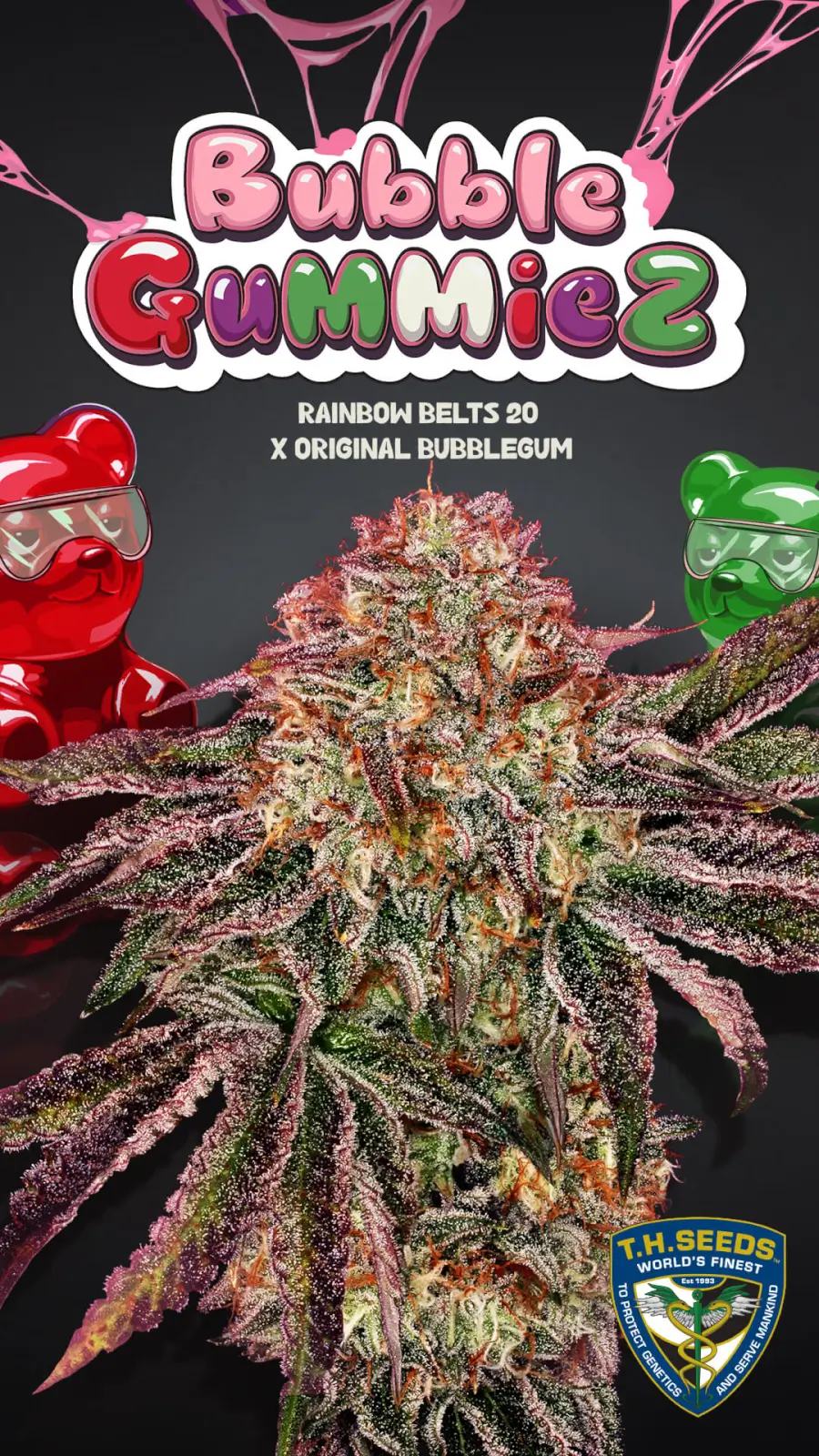 BubbleGummieZ Feminized – Alchimia Grow Shop