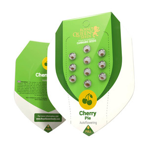 Cherry Pie Auto – Royal Queen Seeds
