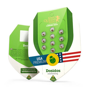 Do-Si-Dos Auto – Royal Queen Seeds