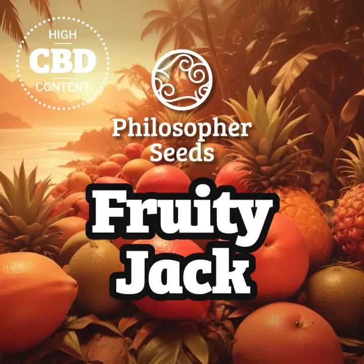 Fruity Jack Feminized – Alchimia Grow Shop