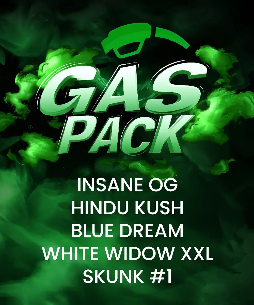 Gas Pack Feminized – Alchimia Grow Shop