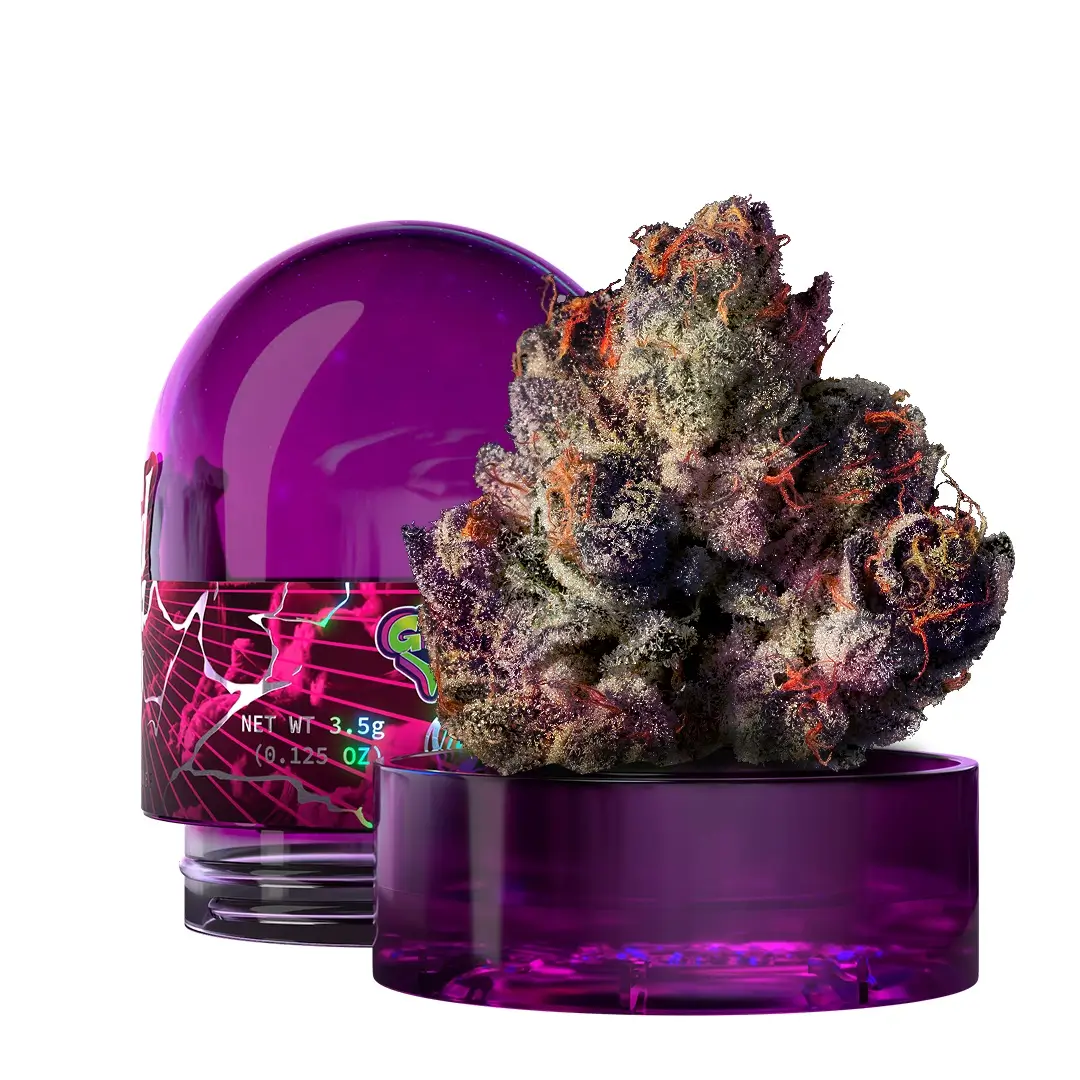 Gridlock Feminized – Alchimia Grow Shop