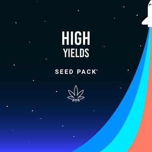 High Yield Pack – Royal Queen Seeds
