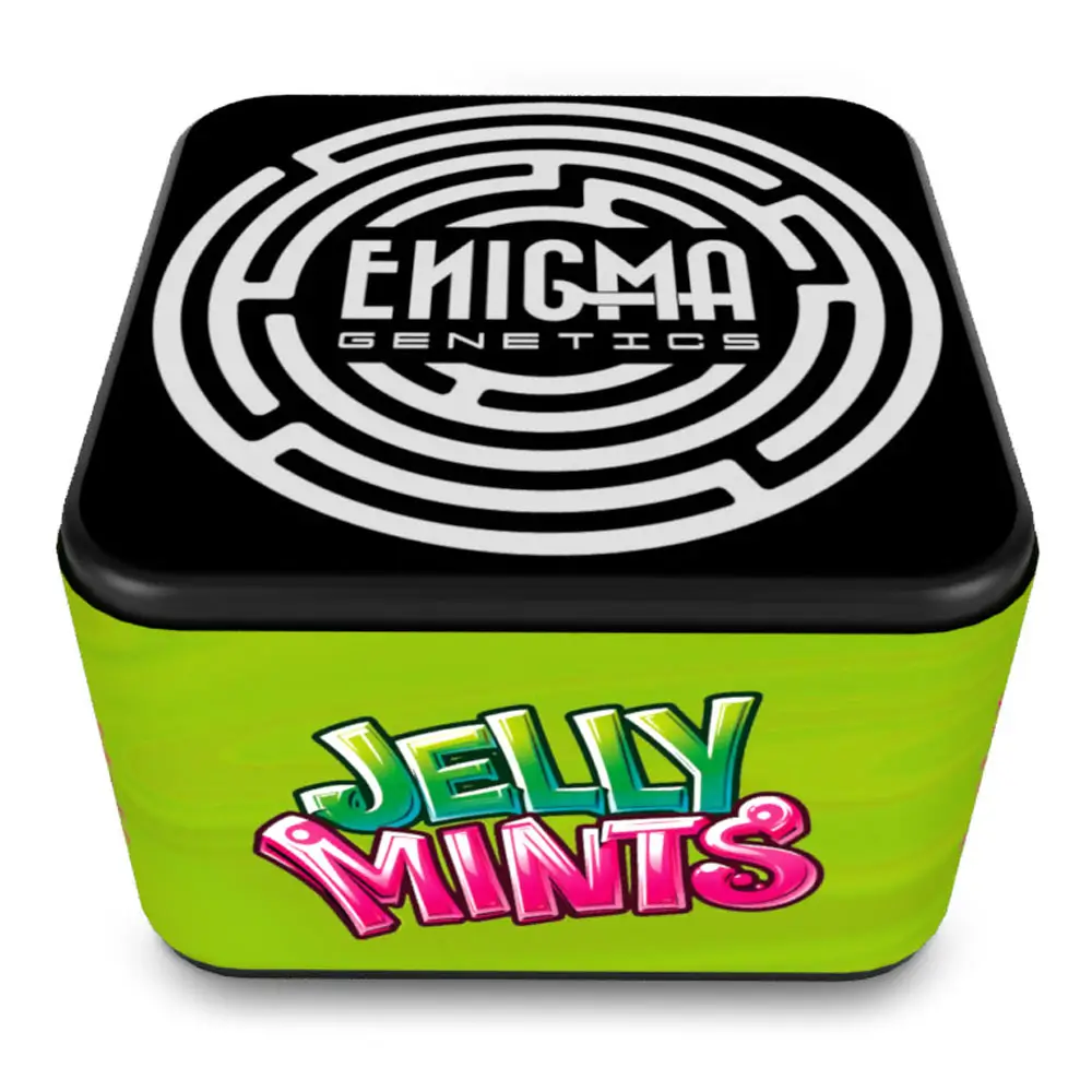 Jelly Mints Feminized – Alchimia Grow Shop