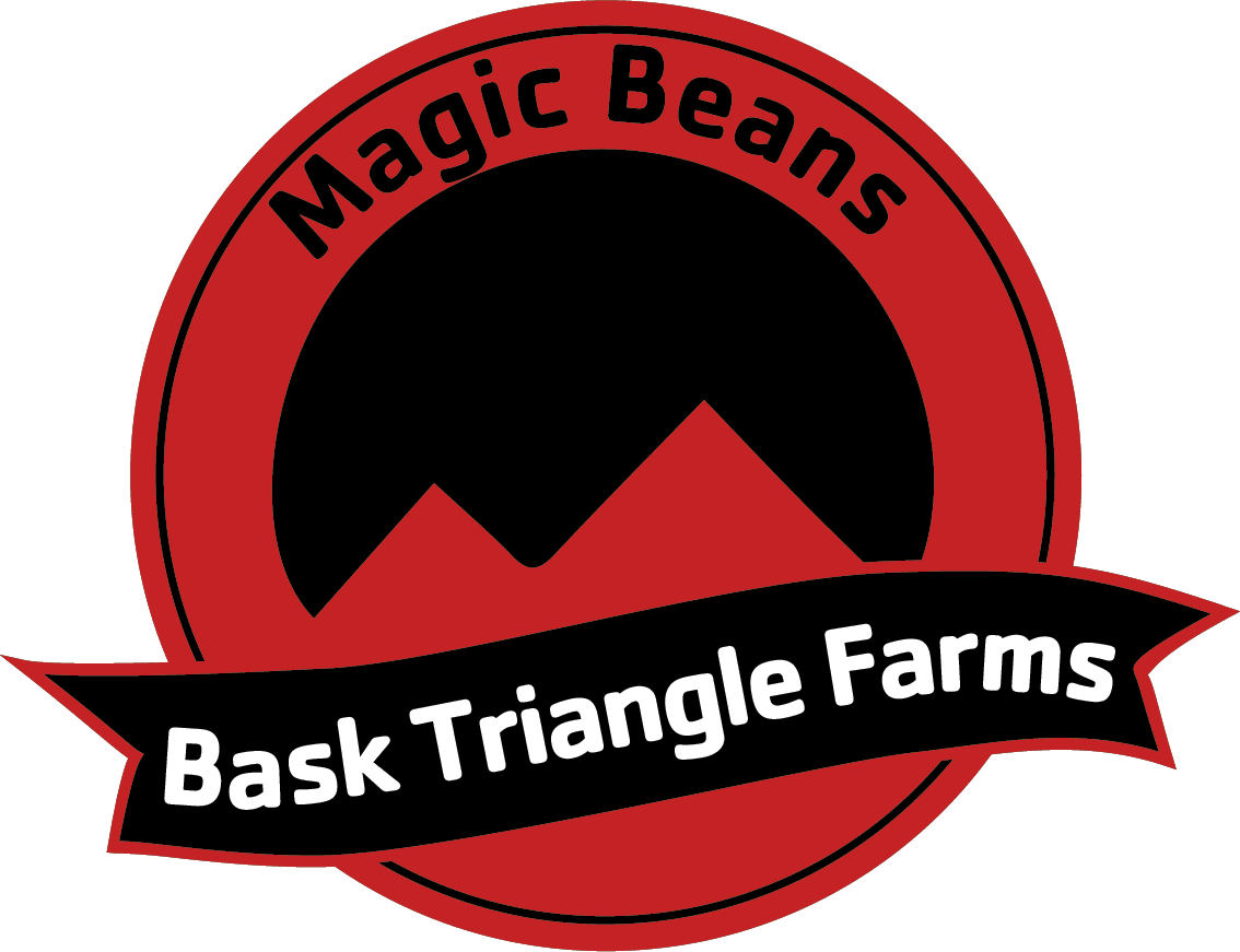 Laranjazz Regular – Alchimia Grow Shop
