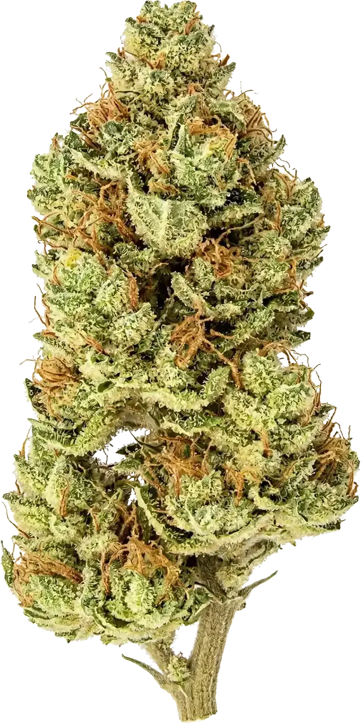 Lemon Haze CBD flower