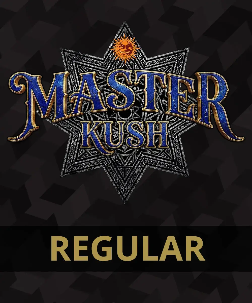 Master Kush Regular Regular – Alchimia Grow Shop