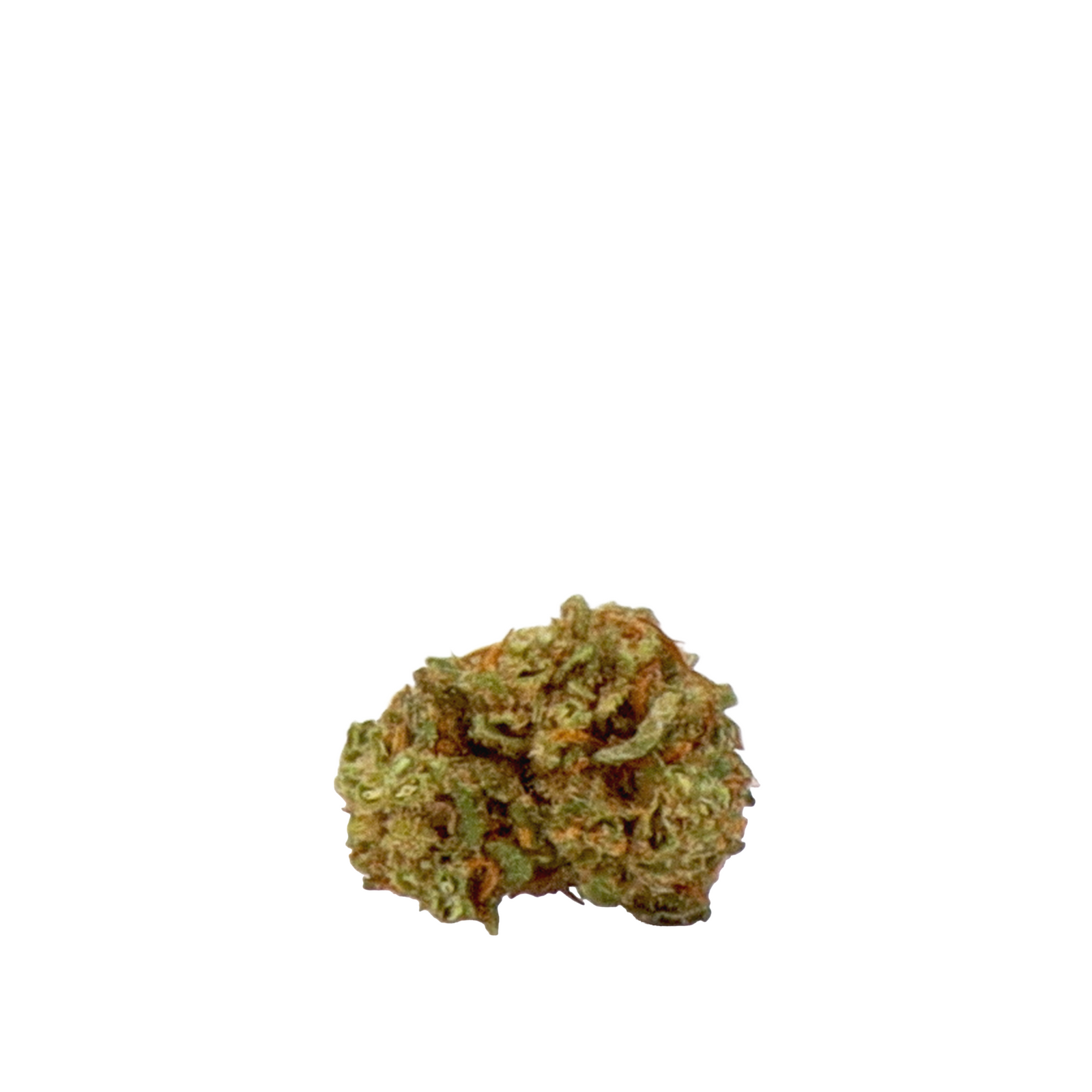 OG Kush CBD Small Buds – CBD SOL