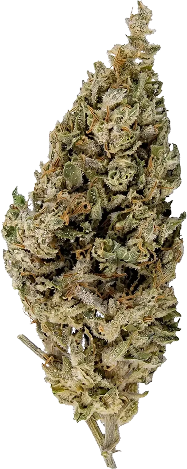 Panakeia CBG flower