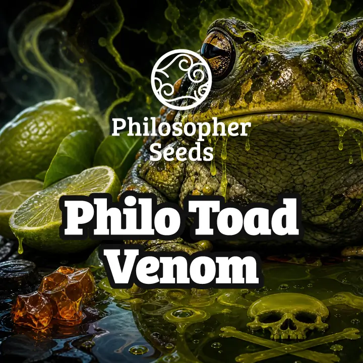 Philo Toad Venom Feminized – Alchimia Grow Shop