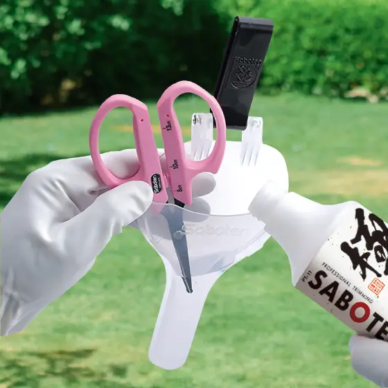 Plastic case for Saboten PT pruning scissors – Alchimia Grow Shop
