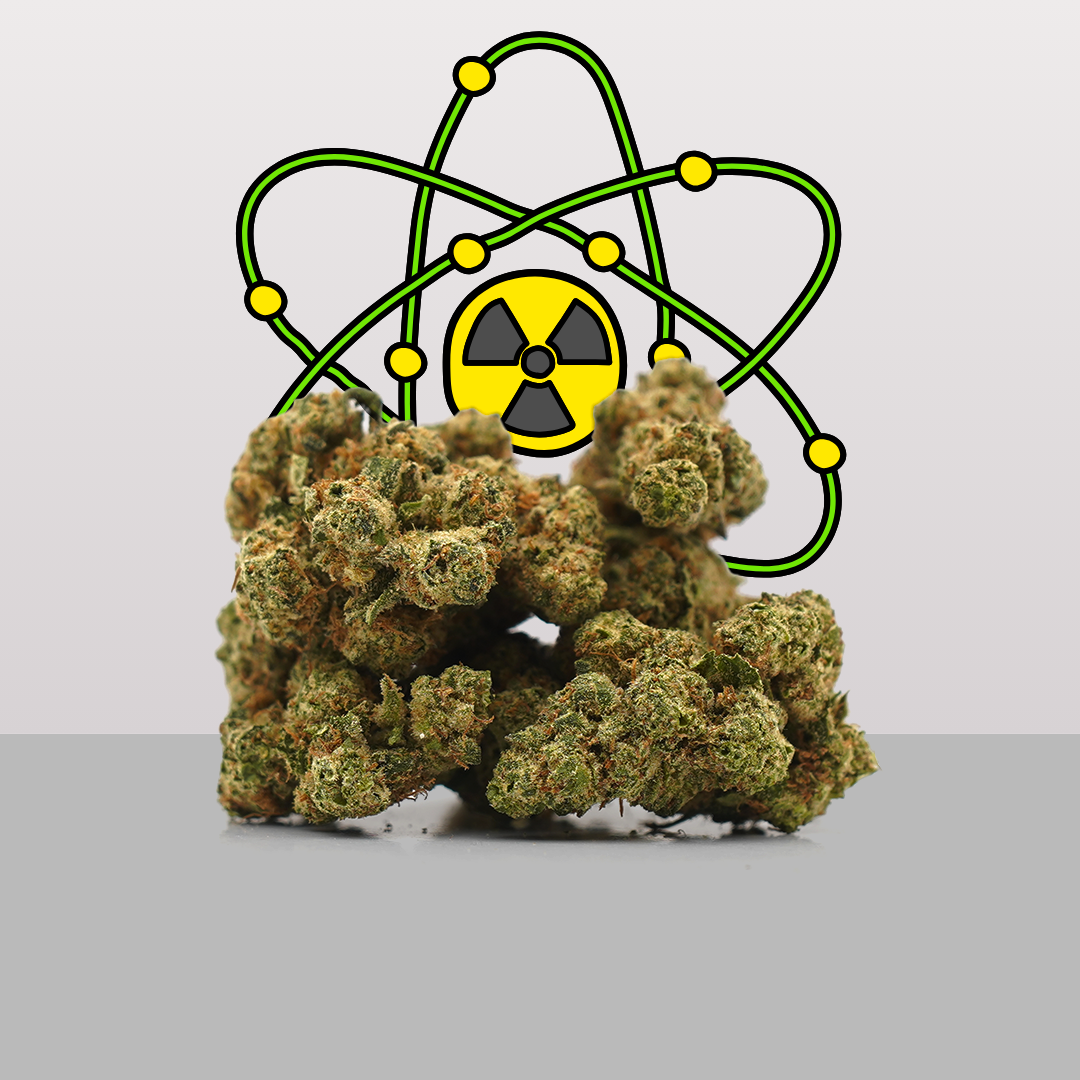 Plutonium CBD (Hydroponics) – Mama Kana