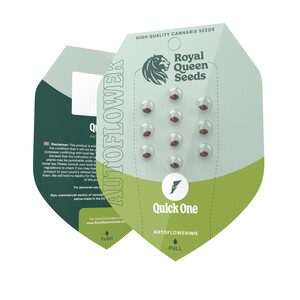 Quick One – Royal Queen Seeds