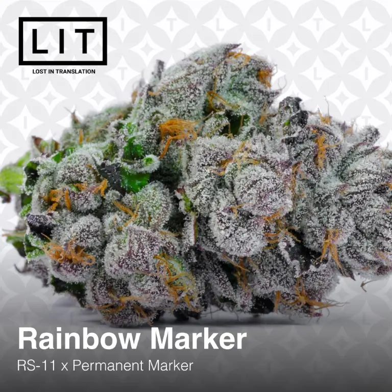 Rainbow Marker Feminized – Alchimia Grow Shop