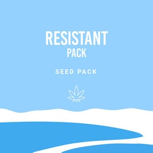 Resistant Pack – Royal Queen Seeds