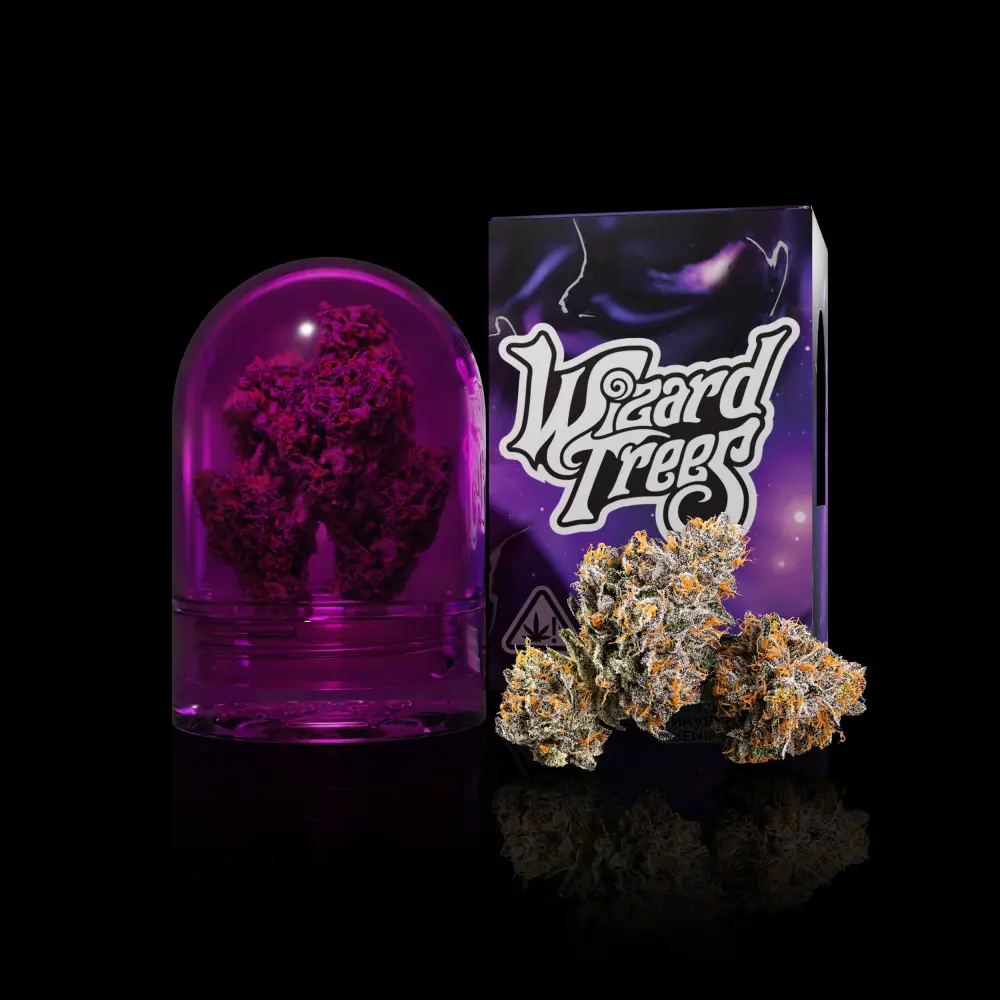 The Keeper Feminized – Alchimia Grow Shop