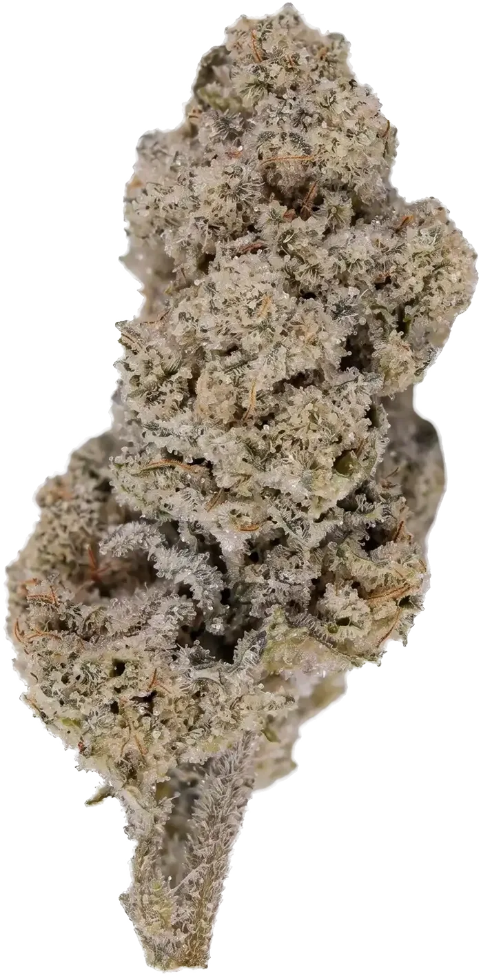 White Diamond CBD flower