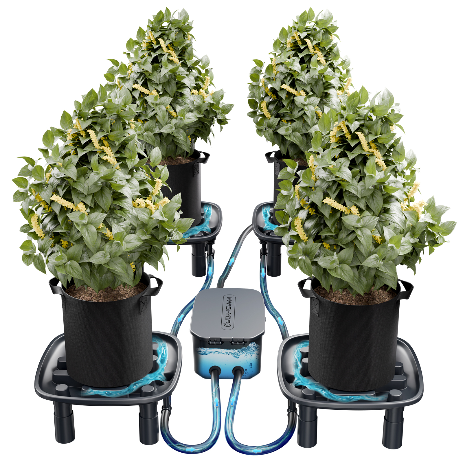 Mars Hydro Auto-Drainage System, 4 Trays – Mars Hydro UK